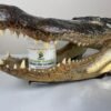 Swamp Thang Loaded Pre Workout - Image 4